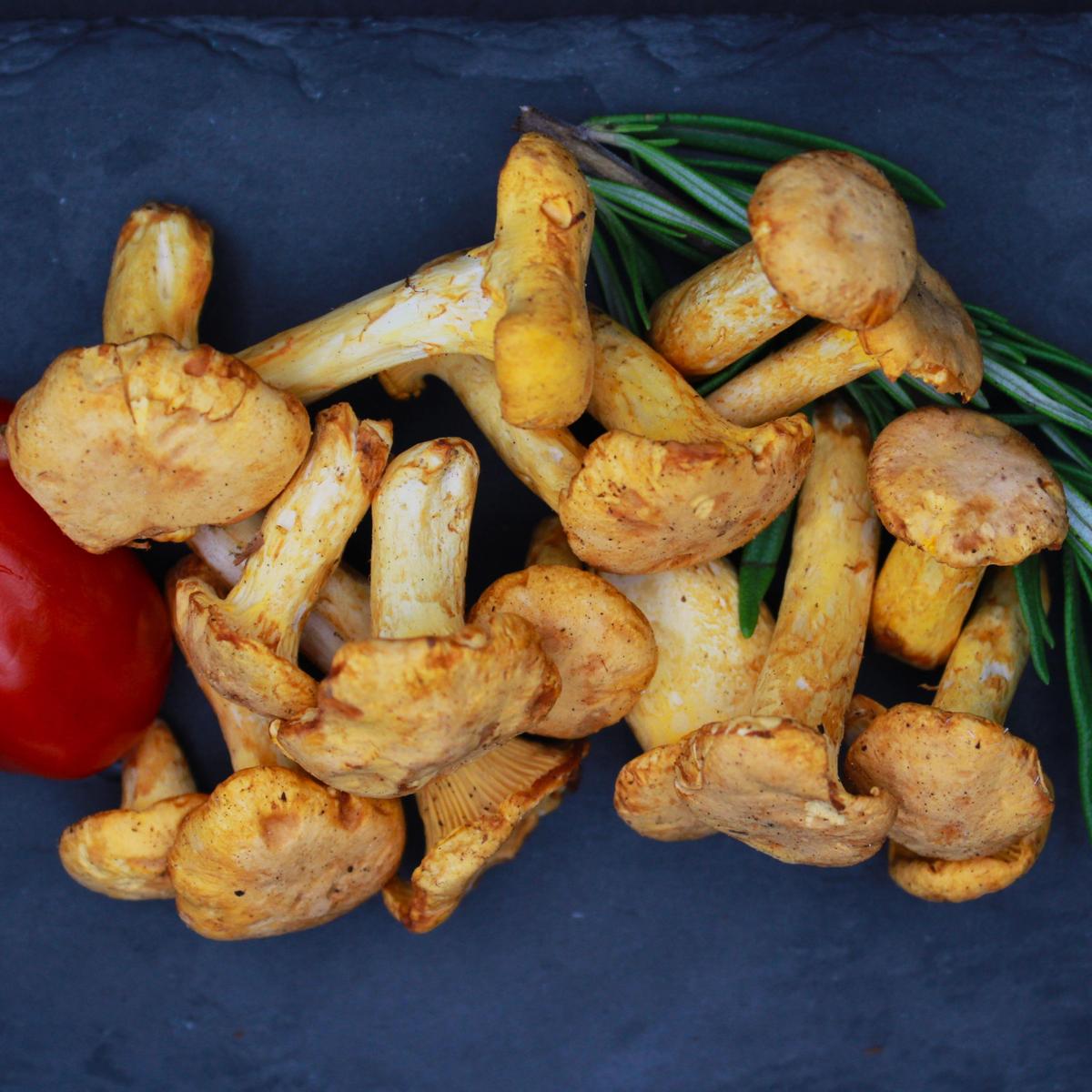 Frische Pfifferlinge